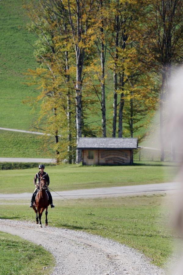 Gasthof Jagersberger Hollenstein an der Ybbs エクステリア 写真